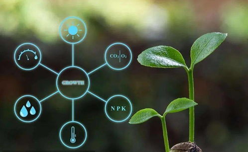 农业农村部数字农业试点（遥感信息系统方向）申报条件解析